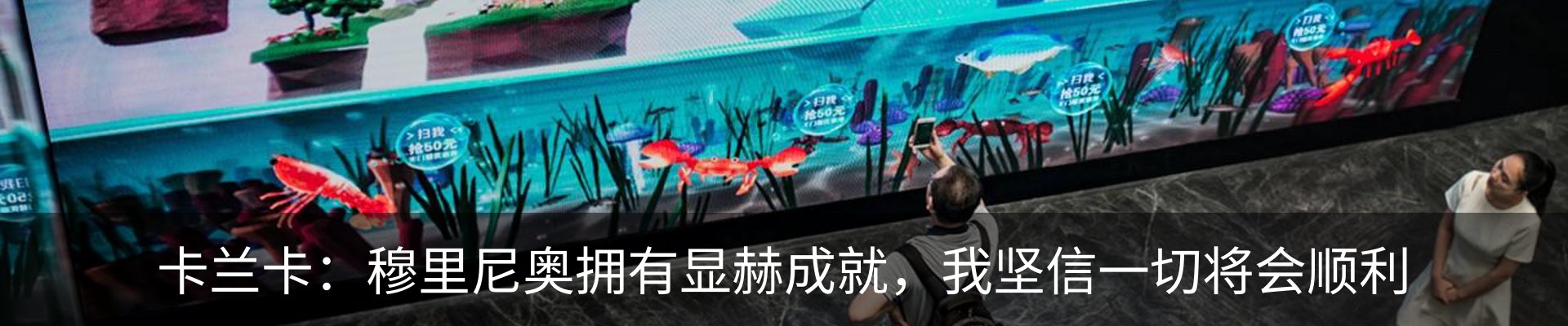 最新动态
